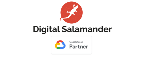 Digital Salamander revendeur Google certifié dpeuis 2019